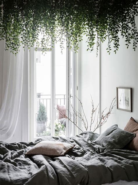 vine ceiling|vines on ceiling bedroom.